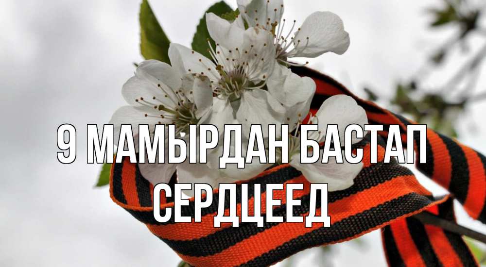 Күн сайын ашық хат с именем, Сердцеед 9 мамырдан бастап 9 мая Онлайн тегін жүктеп алу тілектері бар керемет карта 