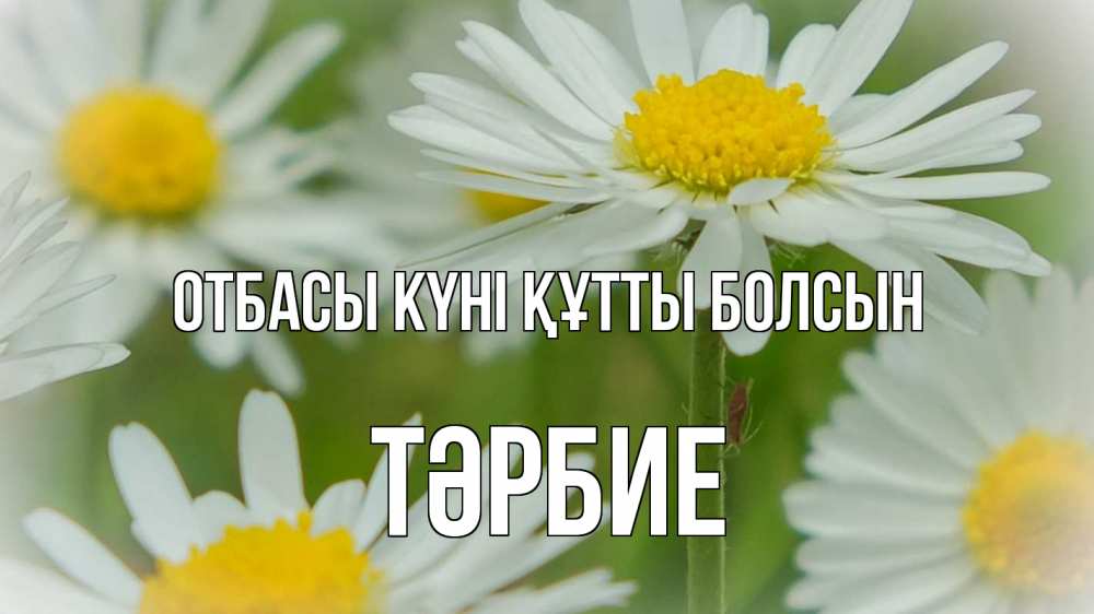Күн сайын ашық хат с именем, ТӘРБИЕ отбасы күні құтты болсын с днем семьи  1 Онлайн тегін жүктеп алу тілектері бар керемет карта 