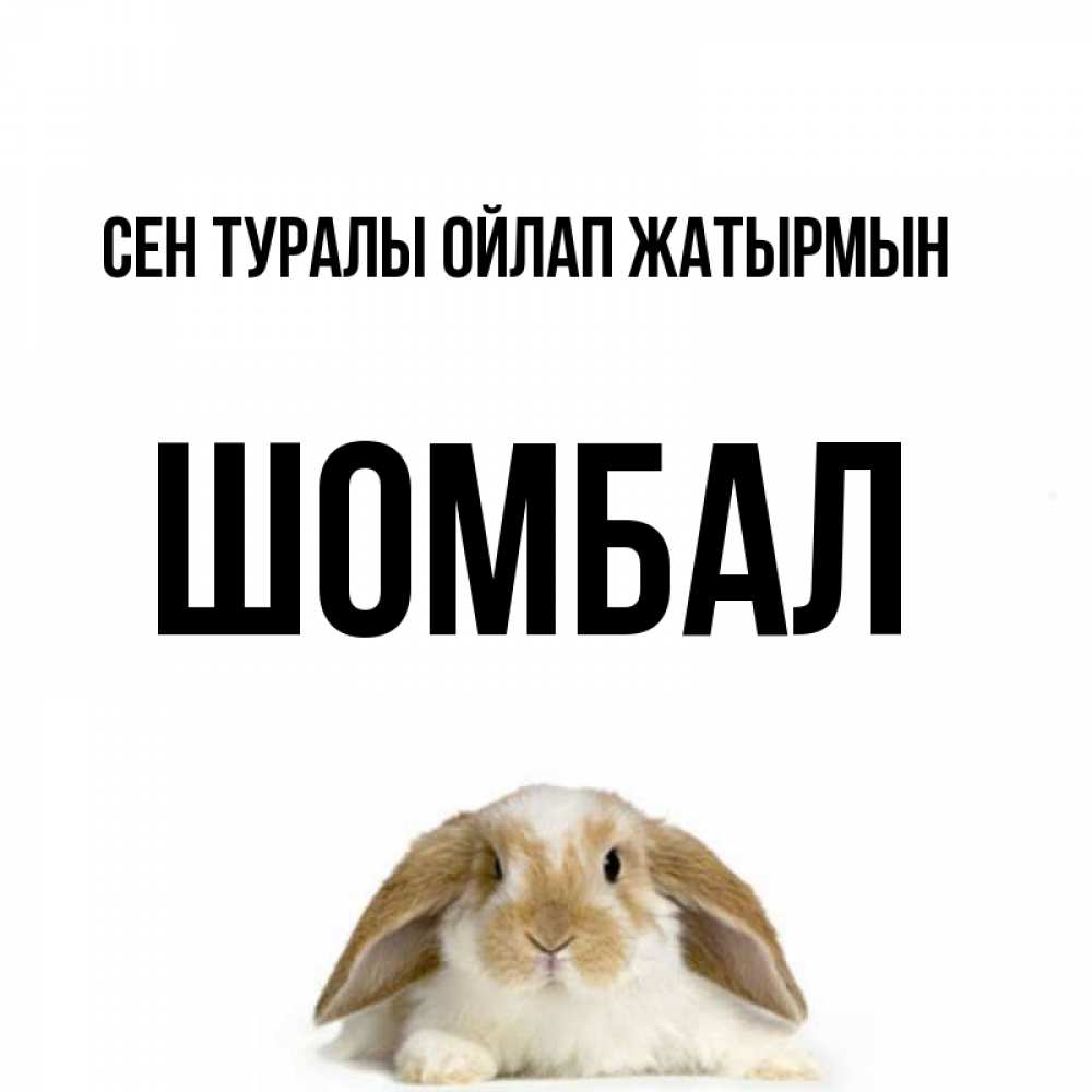 Күн сайын ашық хат с именем, ШОМБАЛ Сен туралы ойлап жатырмын подписать своими руками онлайн Онлайн тегін жүктеп алу тілектері бар керемет карта 