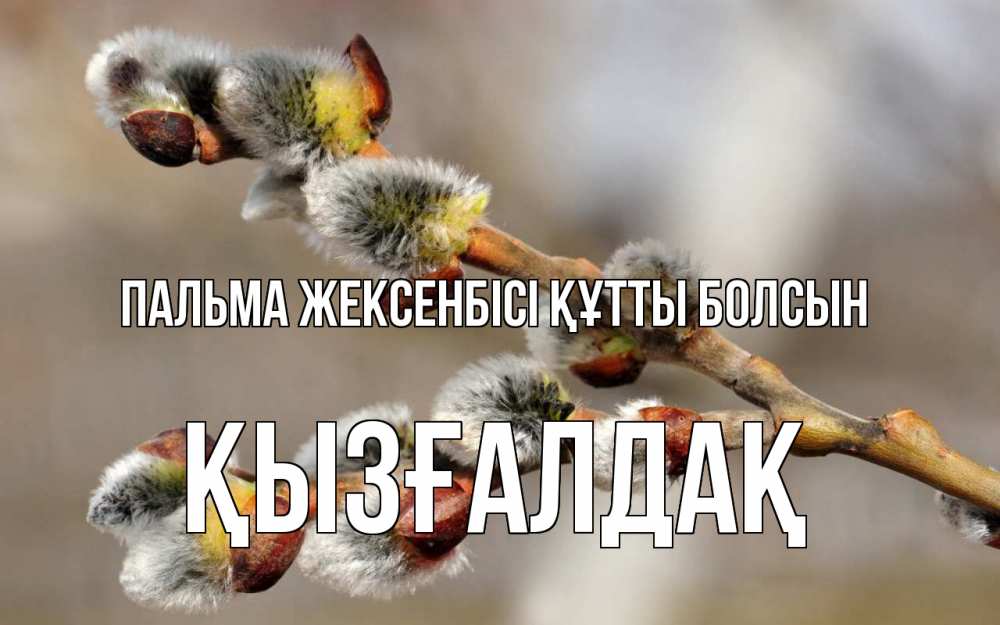 Күн сайын ашық хат с именем, ҚЫЗҒАЛДАҚ Пальма жексенбісі құтты болсын Верба Онлайн тегін жүктеп алу тілектері бар керемет карта 
