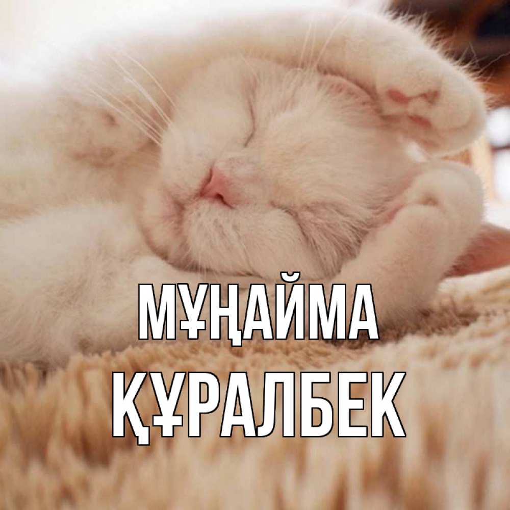 Күн сайын ашық хат с именем, ҚҰРАЛБЕК Мұңайма белый кот Онлайн тегін жүктеп алу тілектері бар керемет карта 