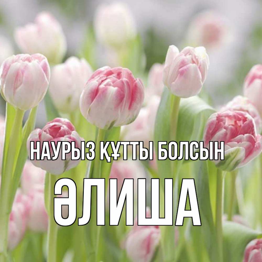 Күн сайын ашық хат с именем, ӘЛИША Наурыз құтты болсын цветы Онлайн тегін жүктеп алу тілектері бар керемет карта 