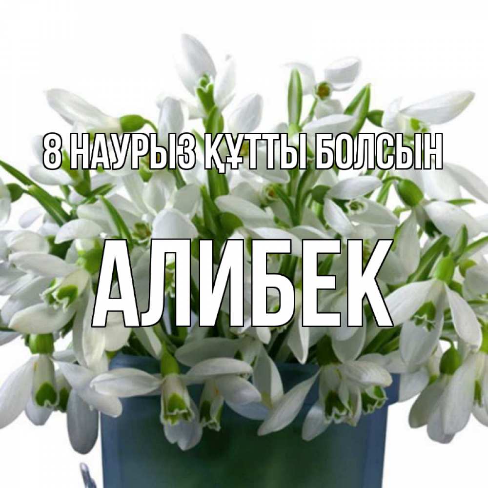 Күн сайын ашық хат с именем, Алибек 8 наурыз құтты болсын цветы к международному женскому дню Онлайн тегін жүктеп алу тілектері бар керемет карта 