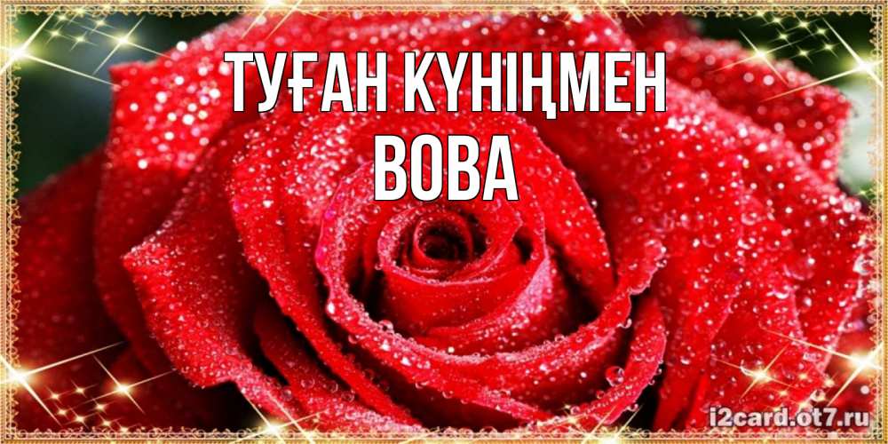 Күн сайын ашық хат с именем, Вова Туған күніңмен роса и роза. открытка с красивой розой Онлайн тегін жүктеп алу тілектері бар керемет карта 