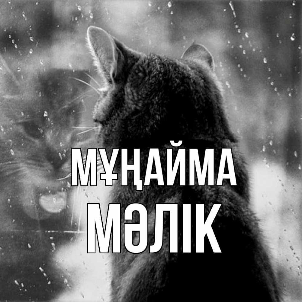 Күн сайын ашық хат с именем, МӘЛІК Мұңайма отражение кота 1 Онлайн тегін жүктеп алу тілектері бар керемет карта 