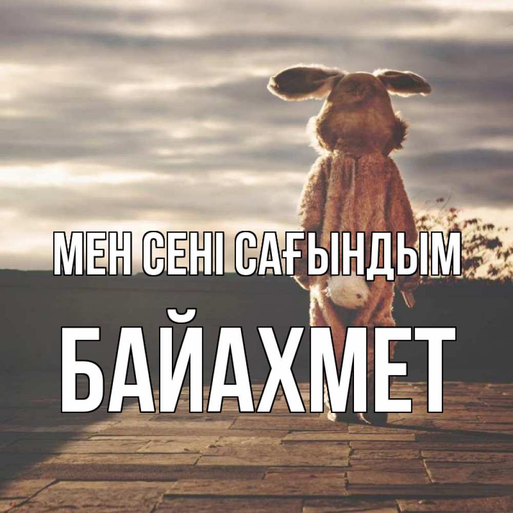 Күн сайын ашық хат с именем, Байахмет Мен сені сағындым даже в костюме зайца Онлайн тегін жүктеп алу тілектері бар керемет карта 