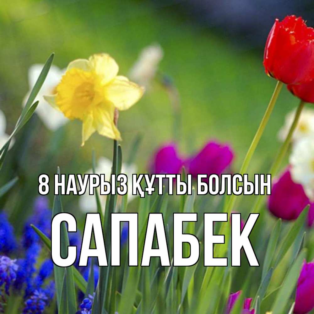 Күн сайын ашық хат с именем, САПАБЕК 8 наурыз құтты болсын международный женский день 3 Онлайн тегін жүктеп алу тілектері бар керемет карта 