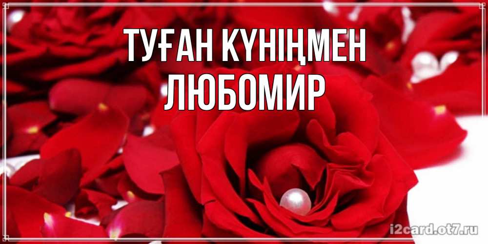 Күн сайын ашық хат с именем, Любомир Туған күніңмен роза с жемчужиной на открытке для любимых Онлайн тегін жүктеп алу тілектері бар керемет карта 
