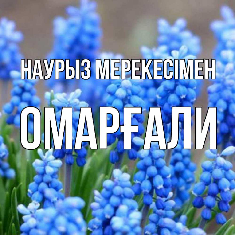 Күн сайын ашық хат с именем, ОМАРҒАЛИ Наурыз мерекесімен Поздравительная открытка для женщин с цветами на праздничную дату Онлайн тегін жүктеп алу тілектері бар керемет карта 