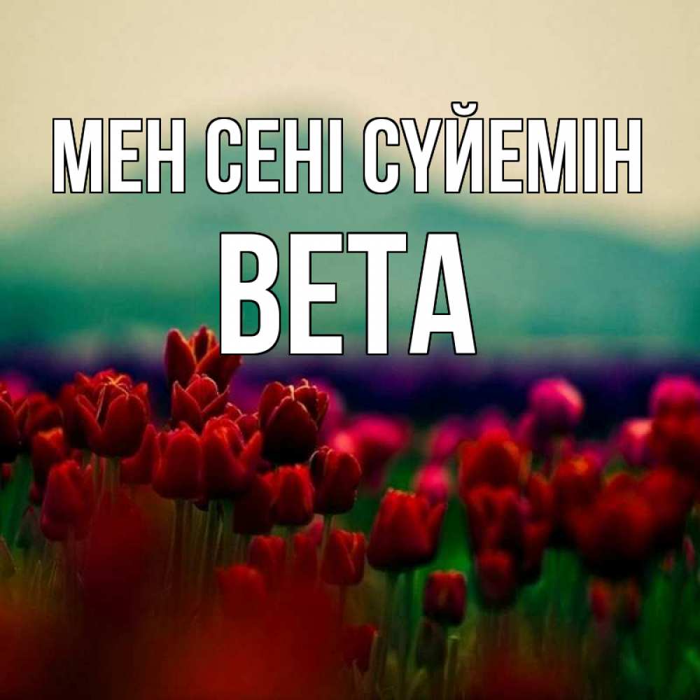 Күн сайын ашық хат с именем, Вета Мен сені сүйемін тюльпаны 4 Онлайн тегін жүктеп алу тілектері бар керемет карта 
