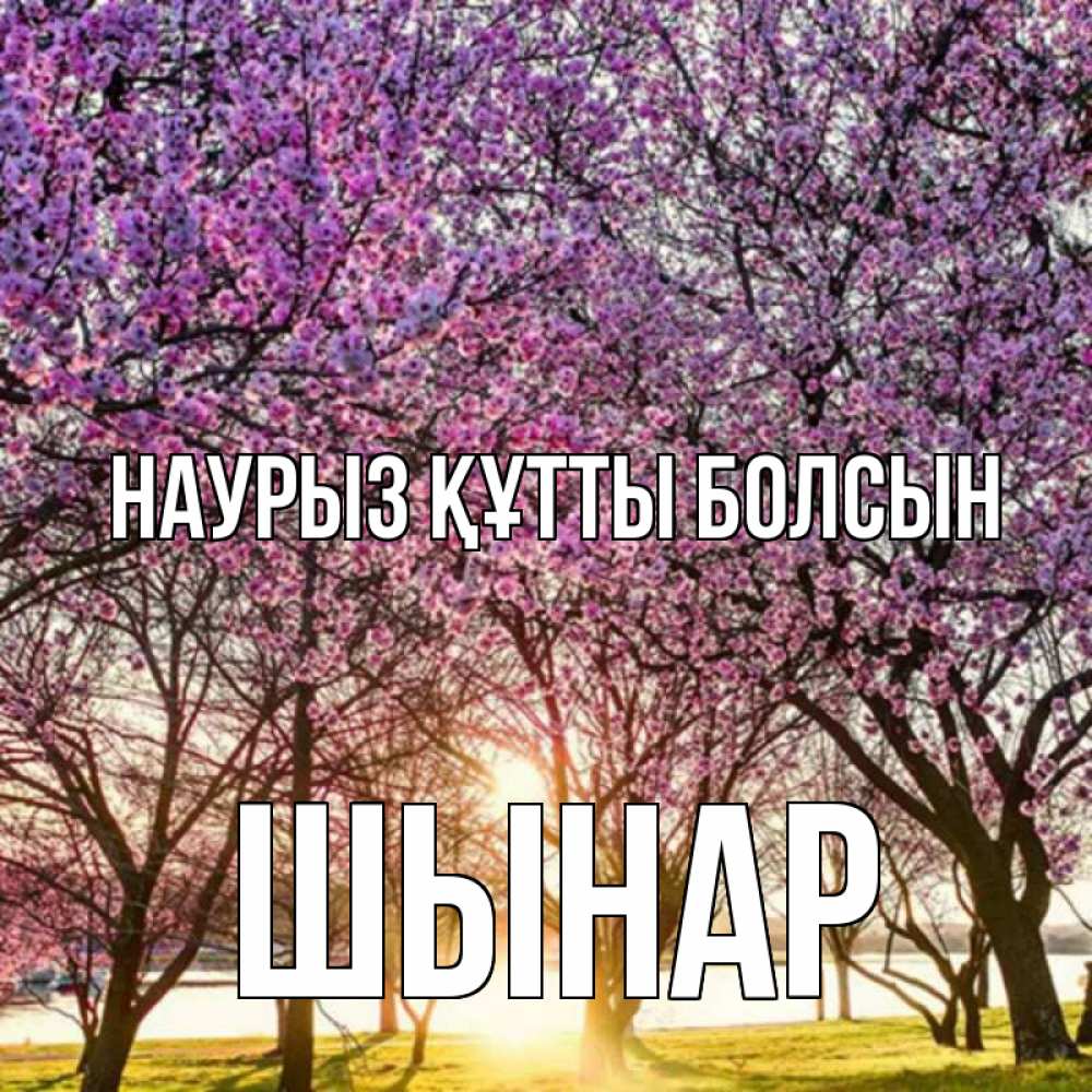 Күн сайын ашық хат с именем, ШЫНАР Наурыз құтты болсын наурыз Онлайн тегін жүктеп алу тілектері бар керемет карта 