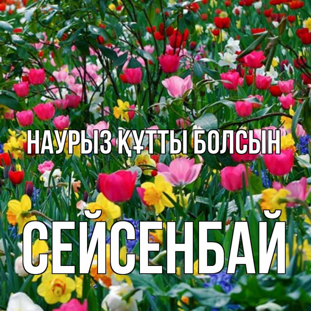 Күн сайын ашық хат с именем, СЕЙСЕНБАЙ Наурыз құтты болсын с наурызом поздравления для женщины Онлайн тегін жүктеп алу тілектері бар керемет карта 