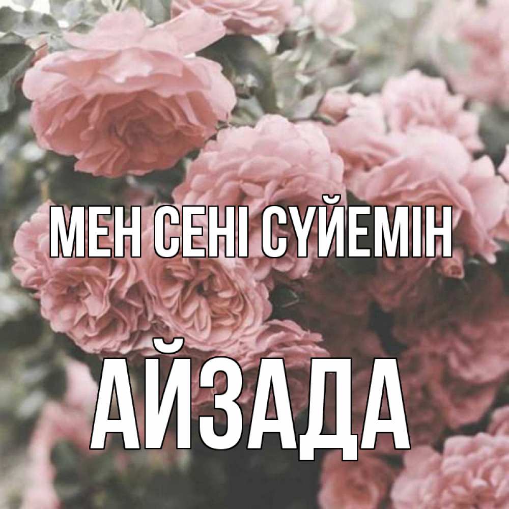 Күн сайын ашық хат с именем, АЙЗАДА Мен сені сүйемін розы 3 Онлайн тегін жүктеп алу тілектері бар керемет карта 