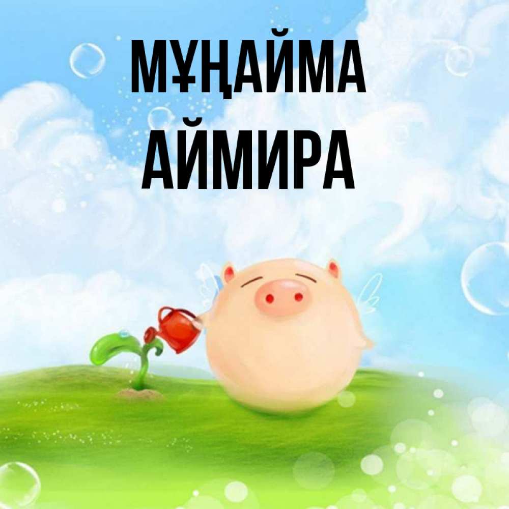 Күн сайын ашық хат с именем, АЙМИРА Мұңайма поливает цветок порося Онлайн тегін жүктеп алу тілектері бар керемет карта 