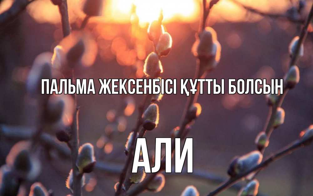 Күн сайын ашық хат с именем, Али Пальма жексенбісі құтты болсын верба Онлайн тегін жүктеп алу тілектері бар керемет карта 