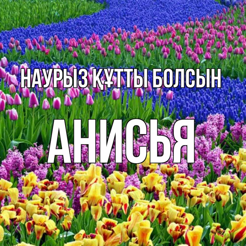 Күн сайын ашық хат с именем, Анисья Наурыз құтты болсын цветы Онлайн тегін жүктеп алу тілектері бар керемет карта 