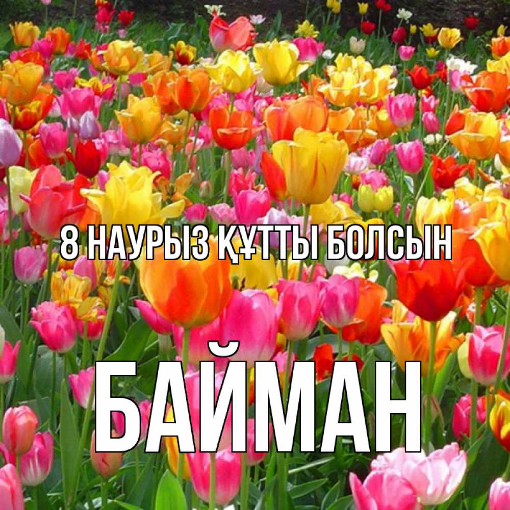 Күн сайын ашық хат с именем, Байман 8 наурыз құтты болсын на международный женский день Онлайн тегін жүктеп алу тілектері бар керемет карта 