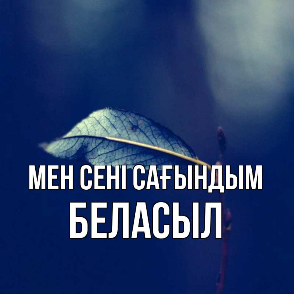 Күн сайын ашық хат с именем, Беласыл Мен сені сағындым одна ветка 1 Онлайн тегін жүктеп алу тілектері бар керемет карта 