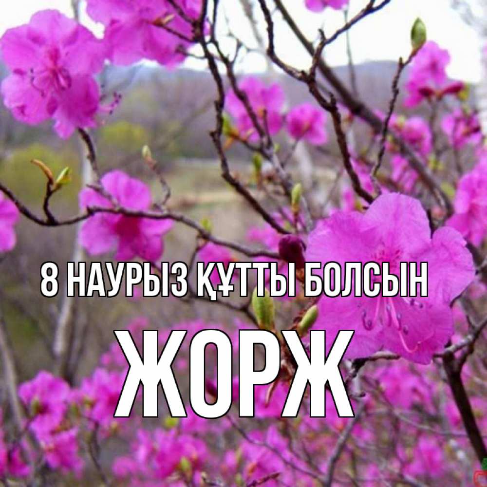 Күн сайын ашық хат с именем, Жорж 8 наурыз құтты болсын международный женский день Онлайн тегін жүктеп алу тілектері бар керемет карта 