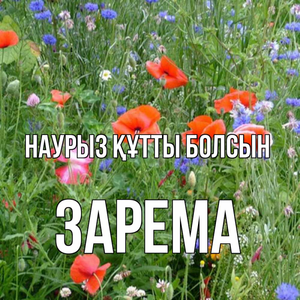 Күн сайын ашық хат с именем, ЗАРЕМА Наурыз құтты болсын наурыз  4 Онлайн тегін жүктеп алу тілектері бар керемет карта 