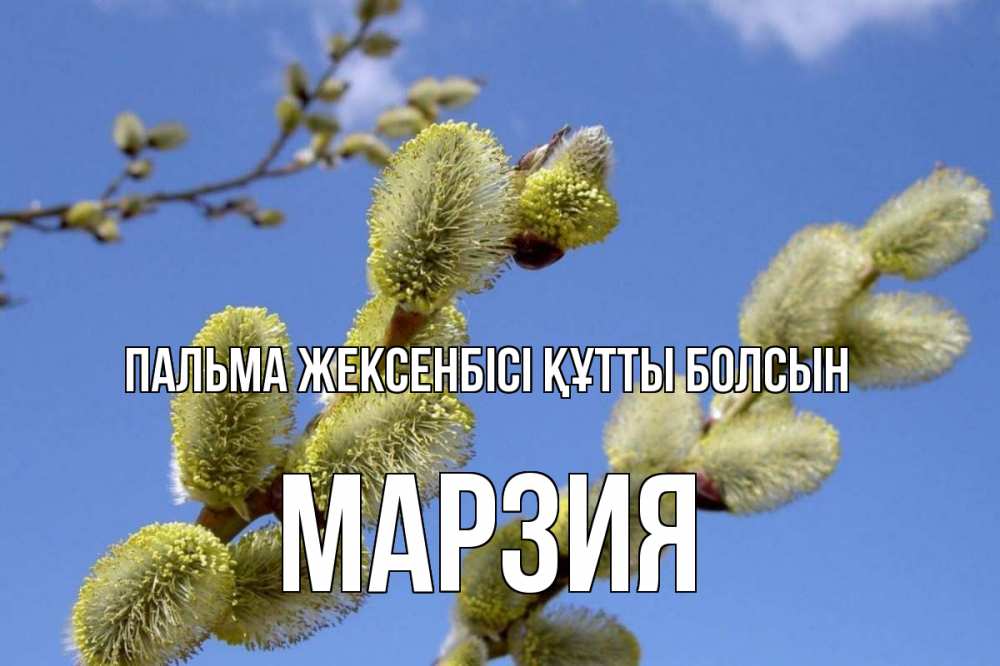 Күн сайын ашық хат с именем, МАРЗИЯ Пальма жексенбісі құтты болсын верба Онлайн тегін жүктеп алу тілектері бар керемет карта 