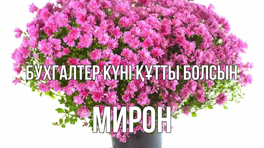 Күн сайын ашық хат с именем, МИРОН бухгалтер күні құтты болсын с днем бухгалтера Онлайн тегін жүктеп алу тілектері бар керемет карта 