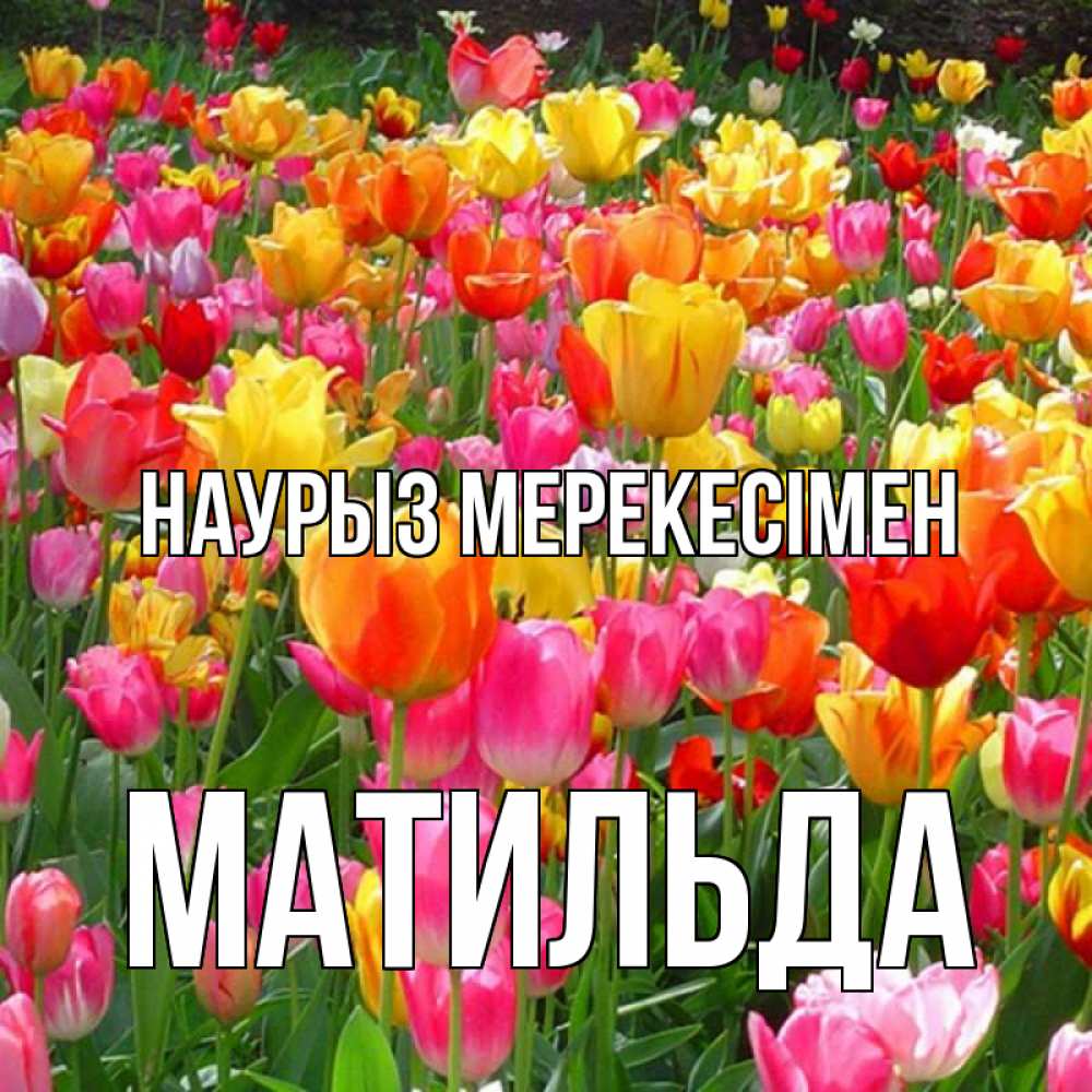 Күн сайын ашық хат с именем, Матильда Наурыз мерекесімен праздник весны наурыз 4 Онлайн тегін жүктеп алу тілектері бар керемет карта 
