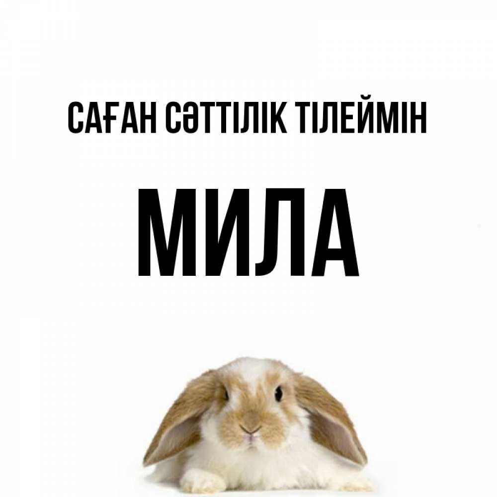 Күн сайын ашық хат с именем, Мила Саған сәттілік тілеймін открытки с произвольным текстом который можно вставить в открытку и создать ее самостоятельно бесплатно онлайн Онлайн тегін жүктеп алу тілектері бар керемет карта 