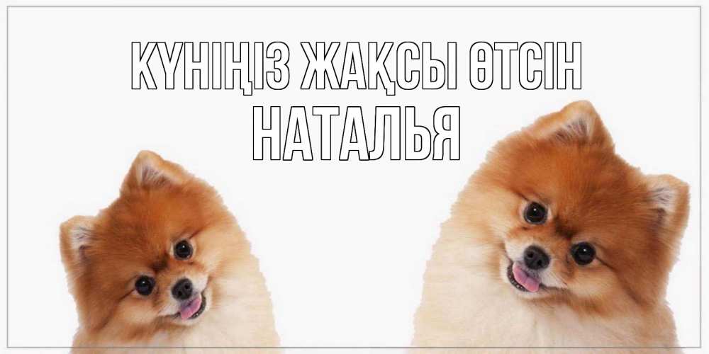 Күн сайын ашық хат с именем, Наталья Күніңіз жақсы өтсін собачки желают прекрасного дня Онлайн тегін жүктеп алу тілектері бар керемет карта 