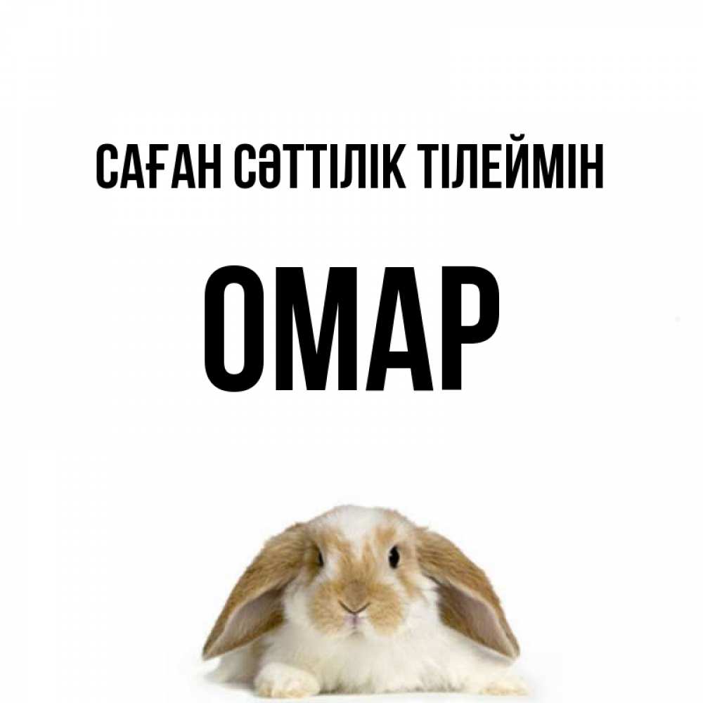 Күн сайын ашық хат с именем, ОМАР Саған сәттілік тілеймін открытки с произвольным текстом который можно вставить в открытку и создать ее самостоятельно бесплатно онлайн Онлайн тегін жүктеп алу тілектері бар керемет карта 