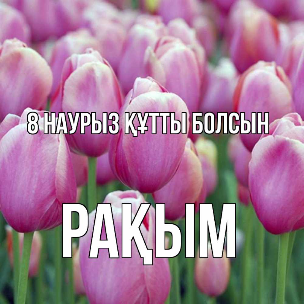 Күн сайын ашық хат с именем, РАҚЫМ 8 наурыз құтты болсын на международный женский день 3 Онлайн тегін жүктеп алу тілектері бар керемет карта 