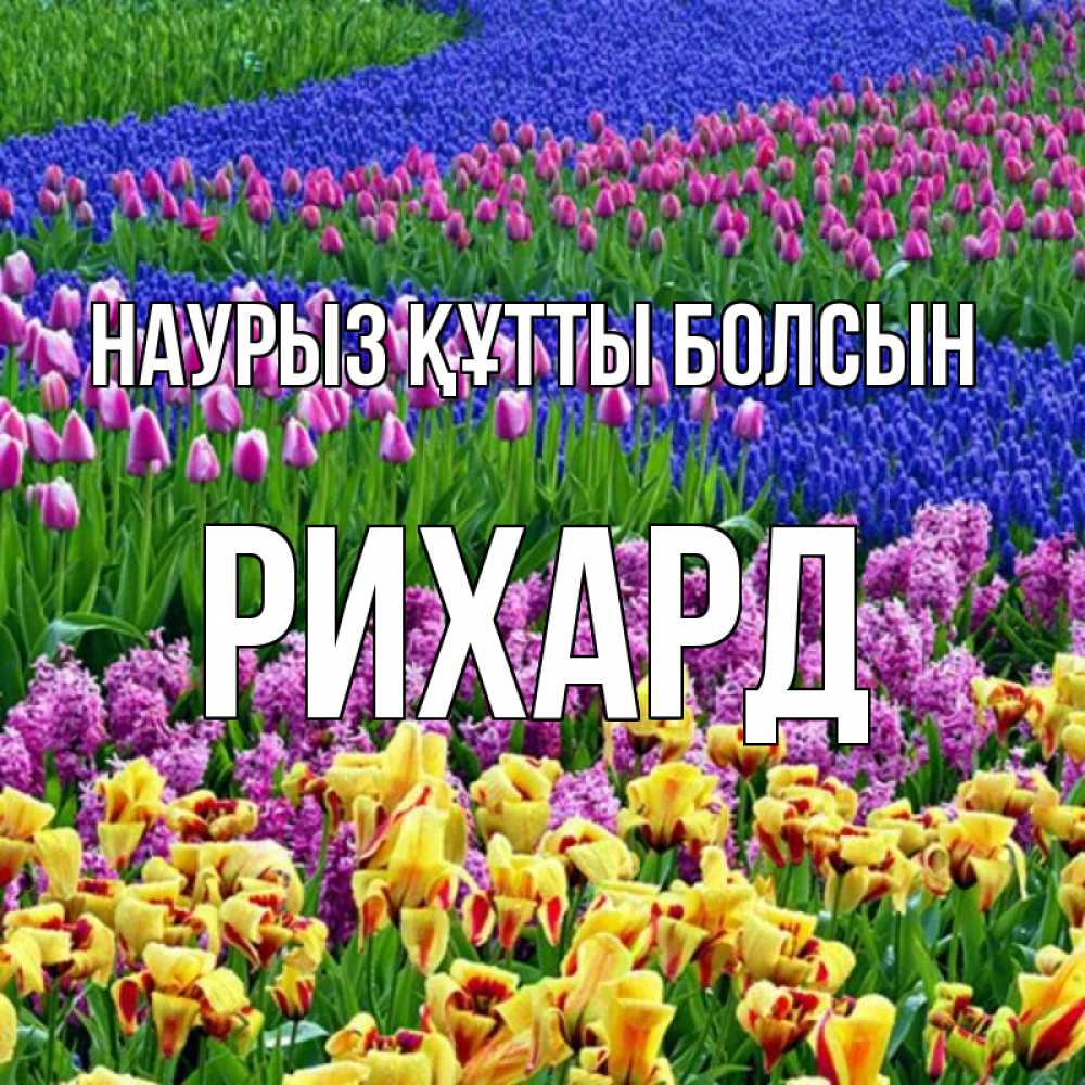 Күн сайын ашық хат с именем, Рихард Наурыз құтты болсын цветы Онлайн тегін жүктеп алу тілектері бар керемет карта 