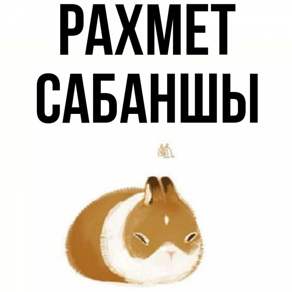 Күн сайын ашық хат с именем, САБАНШЫ рахмет коричнево белый домашний питомец Онлайн тегін жүктеп алу тілектері бар керемет карта 