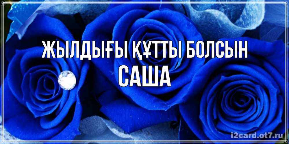 Күн сайын ашық хат с именем, Саша Жылдығы құтты болсын синие розы в росе Онлайн тегін жүктеп алу тілектері бар керемет карта 
