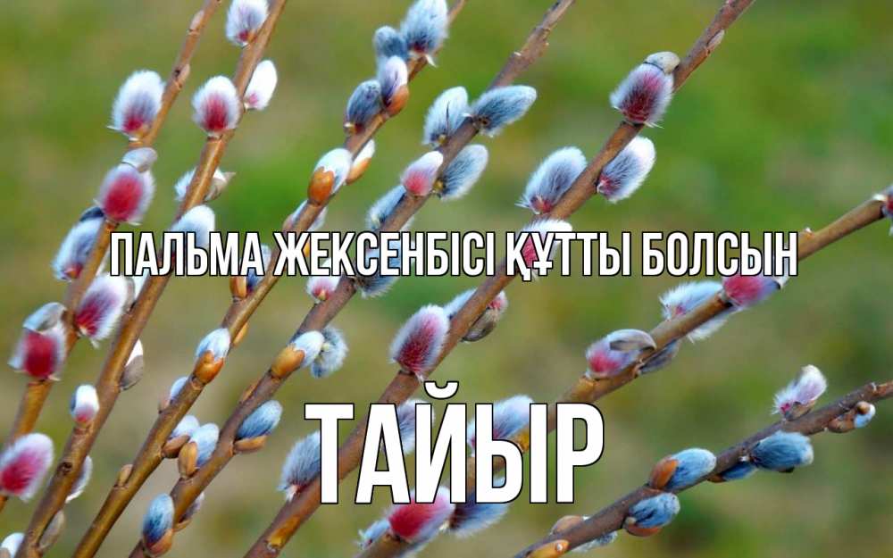 Күн сайын ашық хат с именем, ТАЙЫР Пальма жексенбісі құтты болсын верба Онлайн тегін жүктеп алу тілектері бар керемет карта 