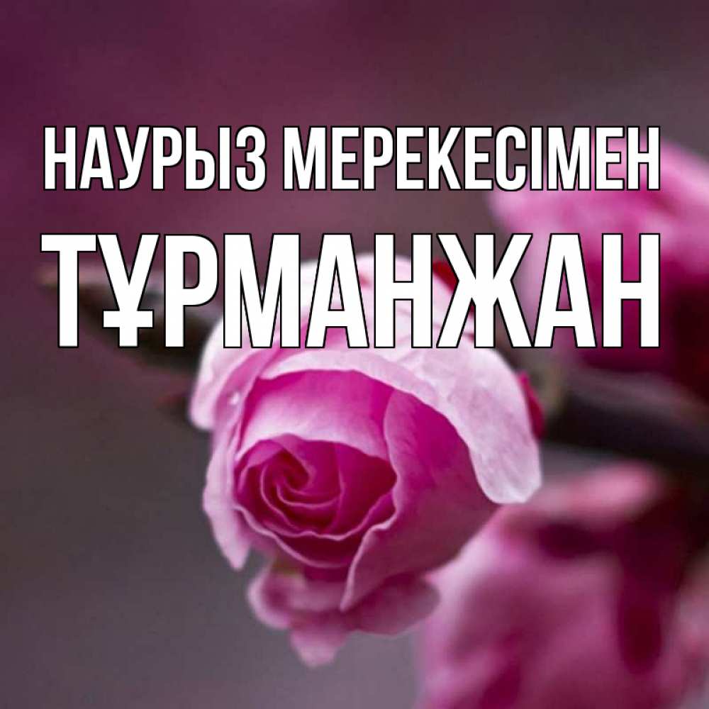 Күн сайын ашық хат с именем, ТҰРМАНЖАН Наурыз мерекесімен весна Онлайн тегін жүктеп алу тілектері бар керемет карта 