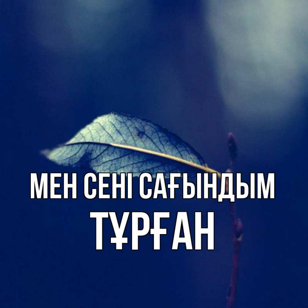 Күн сайын ашық хат с именем, ТҰРҒАН Мен сені сағындым одна ветка 1 Онлайн тегін жүктеп алу тілектері бар керемет карта 
