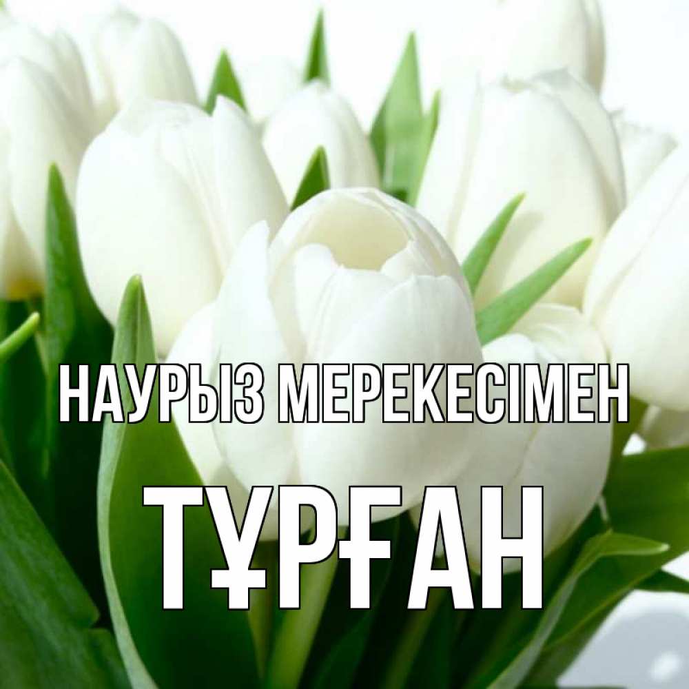 Күн сайын ашық хат с именем, ТҰРҒАН Наурыз мерекесімен цветы Онлайн тегін жүктеп алу тілектері бар керемет карта 