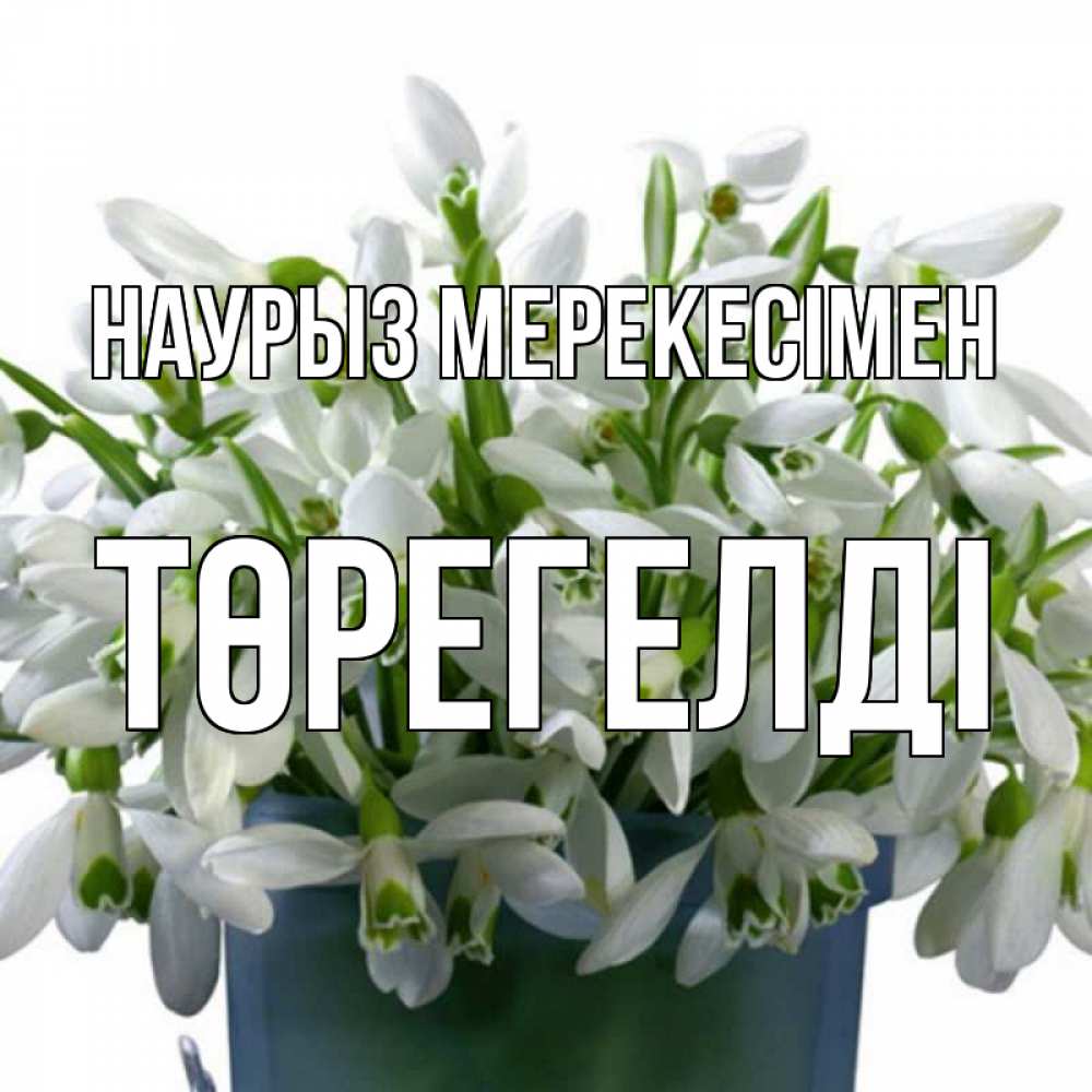 Күн сайын ашық хат с именем, Төрегелді Наурыз мерекесімен цветы к наурызу новый год в Казахстане Онлайн тегін жүктеп алу тілектері бар керемет карта 