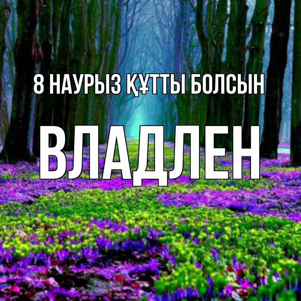 Күн сайын ашық хат с именем, Владлен 8 наурыз құтты болсын фиолетовые цветы в лесу 1 Онлайн тегін жүктеп алу тілектері бар керемет карта 