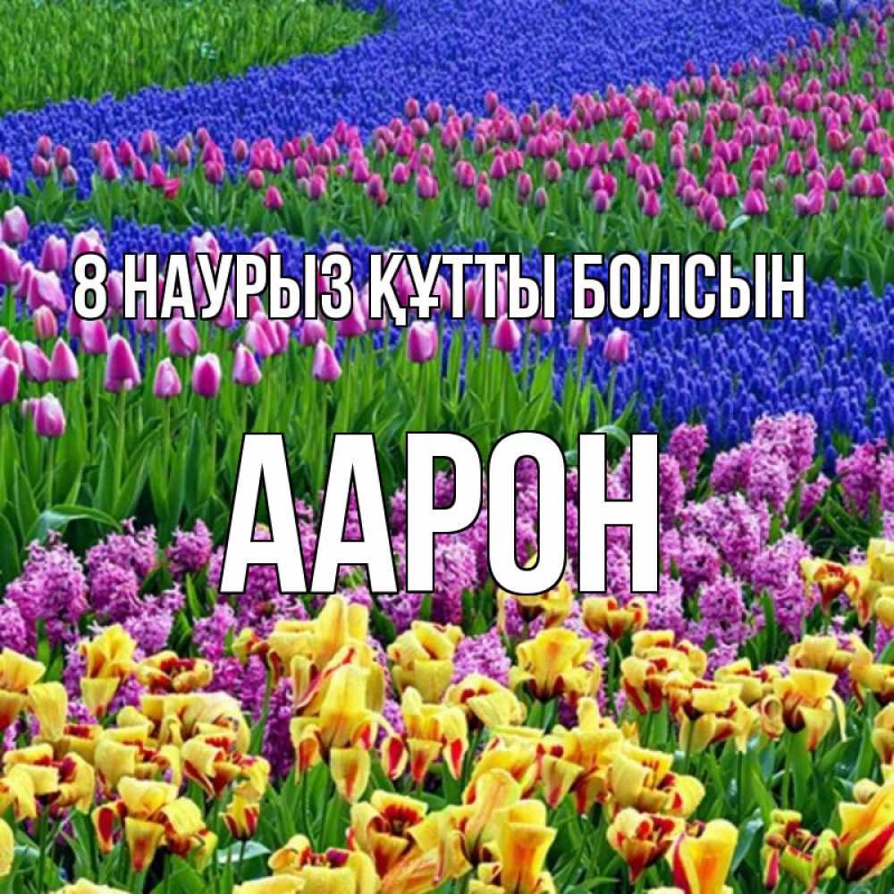 Күн сайын ашық хат с именем, Аарон 8 наурыз құтты болсын цветы Онлайн тегін жүктеп алу тілектері бар керемет карта 