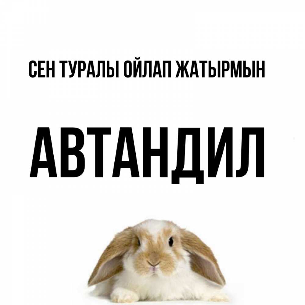 Күн сайын ашық хат с именем, Автандил Сен туралы ойлап жатырмын подписать своими руками онлайн Онлайн тегін жүктеп алу тілектері бар керемет карта 