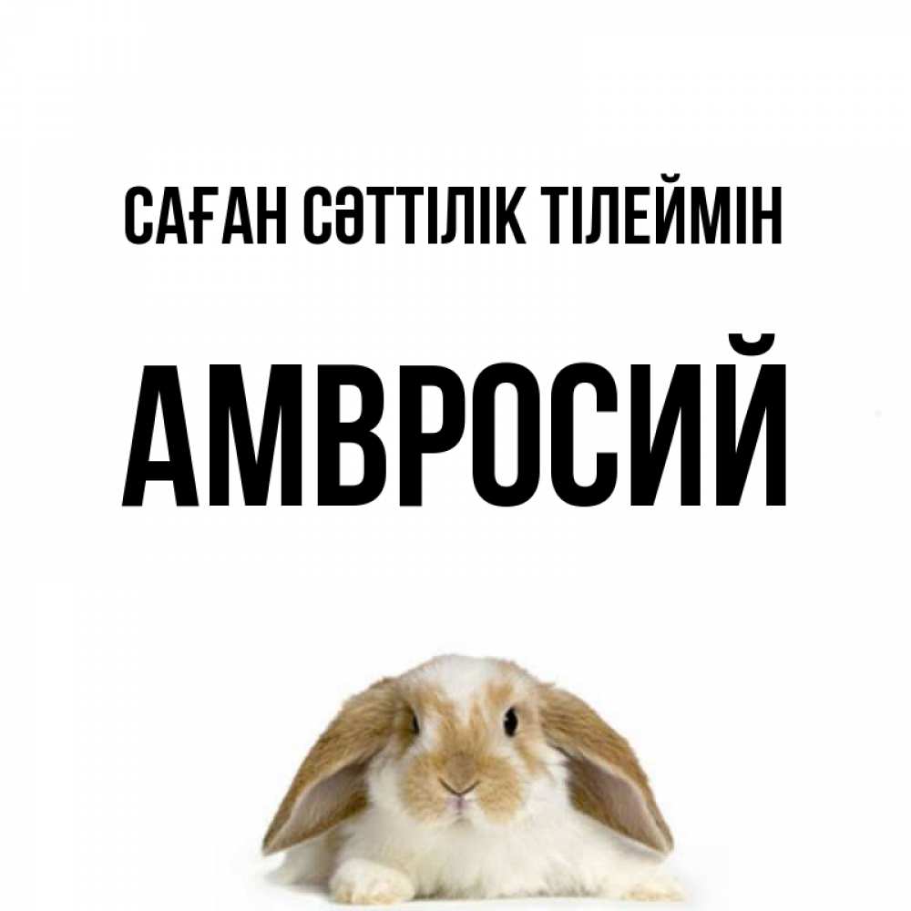 Күн сайын ашық хат с именем, Амвросий Саған сәттілік тілеймін открытки с произвольным текстом который можно вставить в открытку и создать ее самостоятельно бесплатно онлайн Онлайн тегін жүктеп алу тілектері бар керемет карта 