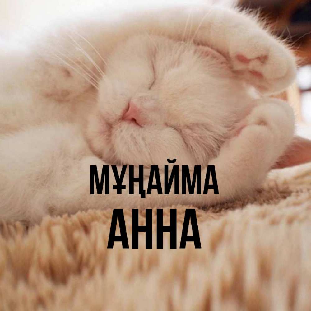 Күн сайын ашық хат с именем, Анна Мұңайма Котенок спит Онлайн тегін жүктеп алу тілектері бар керемет карта 