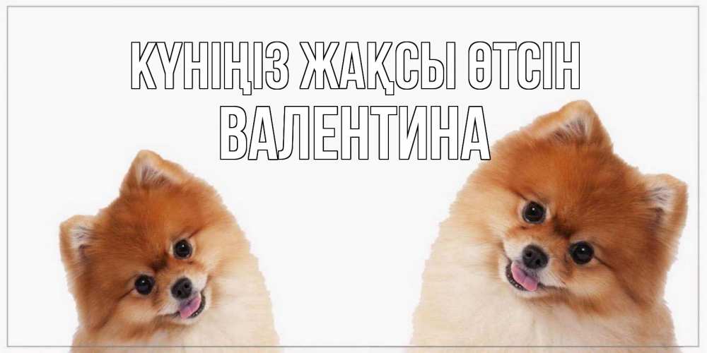 Күн сайын ашық хат с именем, Валентина Күніңіз жақсы өтсін собачки желают прекрасного дня Онлайн тегін жүктеп алу тілектері бар керемет карта 