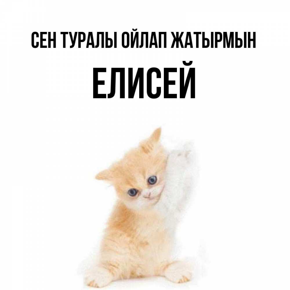 Күн сайын ашық хат с именем, Елисей Сен туралы ойлап жатырмын зверушки и милота Онлайн тегін жүктеп алу тілектері бар керемет карта 