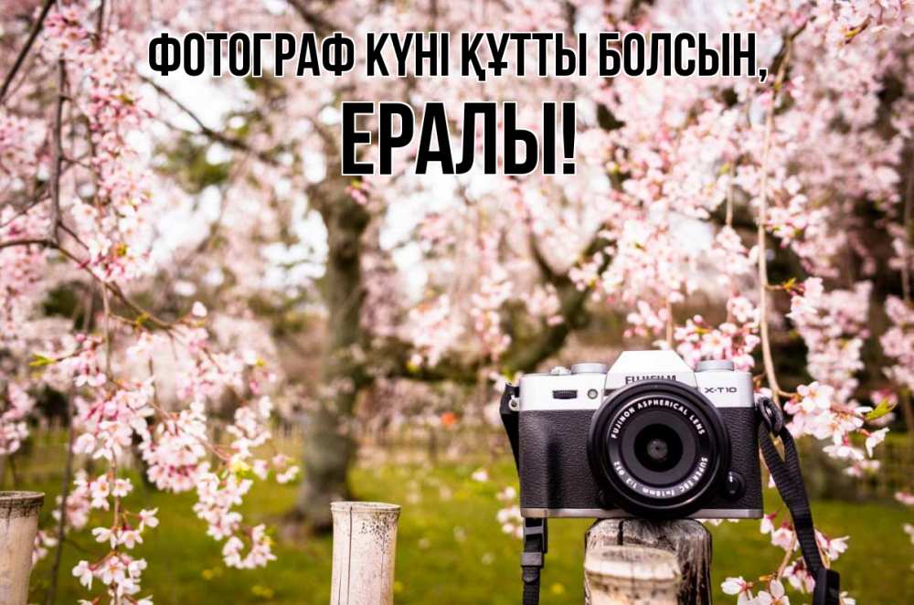 Күн сайын ашық хат с именем, Ералы Фотограф күні құтты болсын сирень с днем фотографа, фотоаппарат Онлайн тегін жүктеп алу тілектері бар керемет карта 