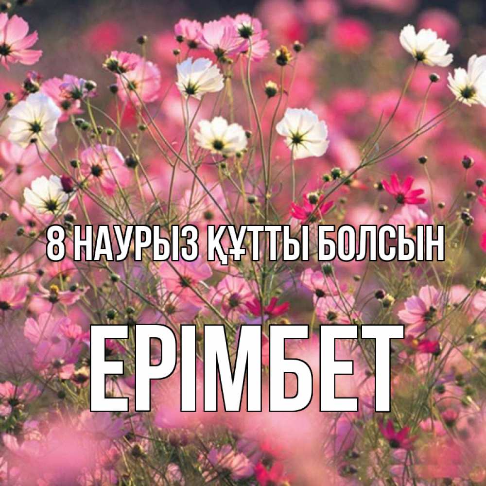 Күн сайын ашық хат с именем, Ерімбет 8 наурыз құтты болсын красиво 1 Онлайн тегін жүктеп алу тілектері бар керемет карта 