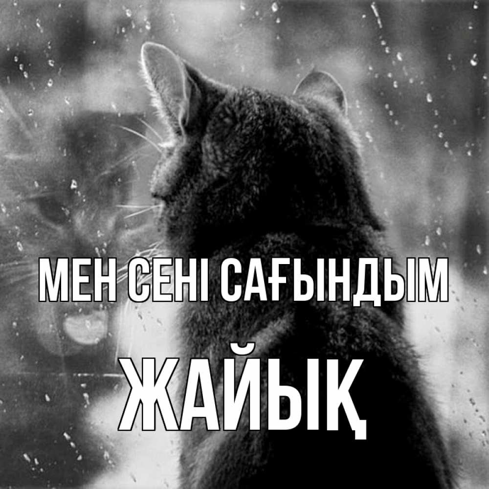 Күн сайын ашық хат с именем, Жайық Мен сені сағындым скорее ко мне приходи 1 Онлайн тегін жүктеп алу тілектері бар керемет карта 