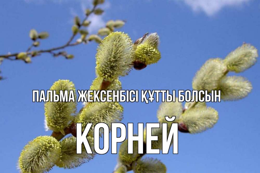 Күн сайын ашық хат с именем, Корней Пальма жексенбісі құтты болсын верба Онлайн тегін жүктеп алу тілектері бар керемет карта 